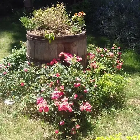 Casa Losea