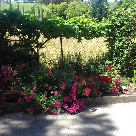 Casa Losea Bed & Breakfast