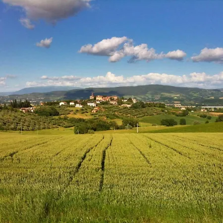 Casa Losea Отель типа 