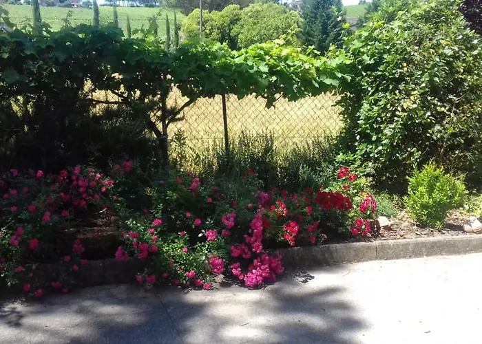 Casa Losea Bed and breakfast