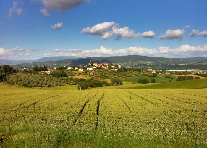 Casa Losea Bed & Breakfast Castello delle Forme
